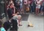Dubstep Beatbox