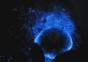 Biolumineszenz – Dinoflagellaten