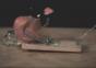 Dinge zerstören in Slow Motion