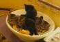 Synchrone Katzen