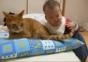 Was für eine geduldige Katze