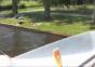 Falscher Ort zum Sonnenbaden