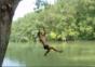 Die Anfänge von Tarzan