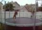Hund auf nem Trampolin