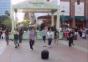Heiratsantrag im Disneyland