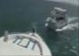 Vorsicht Captain… ein Schiff!