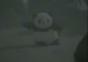 Der Samurai Panda