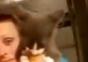 Kleine Katze hat Monsterhunger Part 2