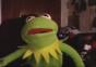 Kermit schaut sich eklige Pornos an