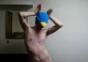 Gay Weeaboo Dance