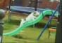 Hund will die Rutsche rauf