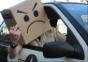 Hornoxe.com - Picdump#47