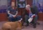 Hund beendet Interview vorzeitig