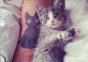 Hornoxe.com – Picdump #309