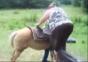 Dicke Frau vs. Pferd