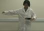 Carbon Nanotube Muskel