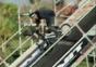 BMX Triple Backflip