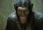 Planet der Affen: Prevolution – Zweiter Trailer 