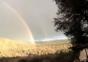 OMG ein REGENBOGEN!!!!! Autotuned