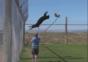 Parkour Puma