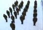 The Harlem Shake Part 8 – Army Edition