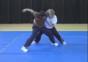 Stunt Fights