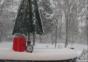 Schneefall im Zeitraffer