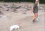 Glückliche Katze am Strand