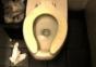 Spinnen unter Toilettensitz