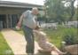 Fail Compilation – Juni 2012
