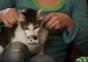 Top Cat – Smack my bitch up