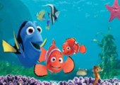 Nemo ist ein Salzwasserfisch