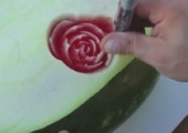 Rosen in Wassermelone ritzen