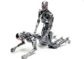 Terminator Kamasutra