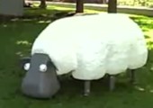 Roboter-Schaf mäht den Rasen