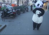 Der Schreck vor dem Panda - FAIL