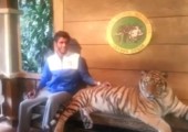 Foto mit Tiger