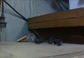 Niemals aufgeben - Die Maus und der Keks.