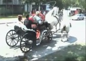 Hochzeitskutsche geht ab