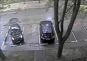 Profi beim ausparken