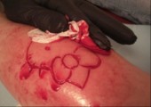 Hello Kitty cutting