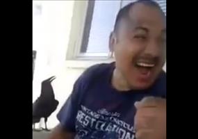 Rabe mit eindeutiger Botschaft