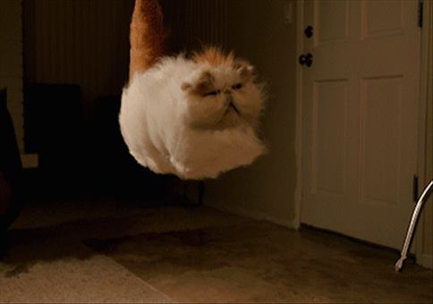 Hornoxe.com - Gifdump #162 - Animierter Picdump