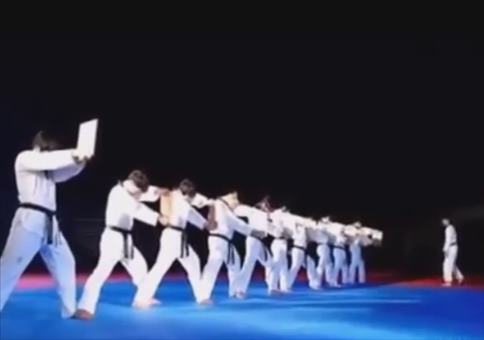 10 Bretter am Stück zerbröselt