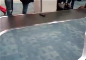 Peinlicher Moment am Kofferband