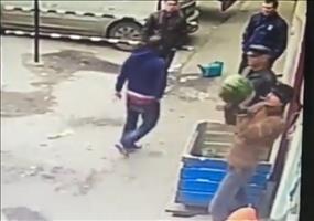 Melonen fangen für Profis