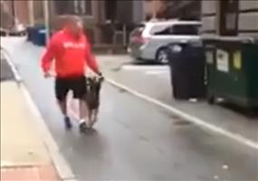 Hund gut im Training