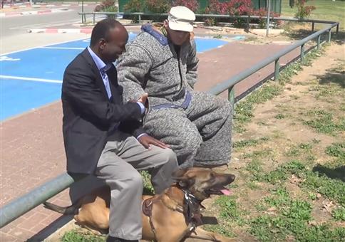 Dieser Hund beschützt dich vor Messerattacken