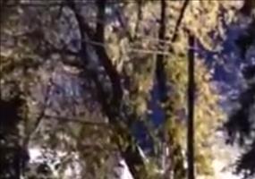 Elektrischer Feuerball