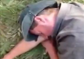 Ja wer liegt denn da am Straßenrand?